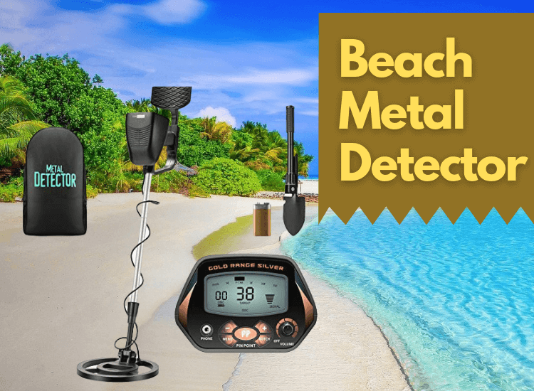 Beach Metal Detector